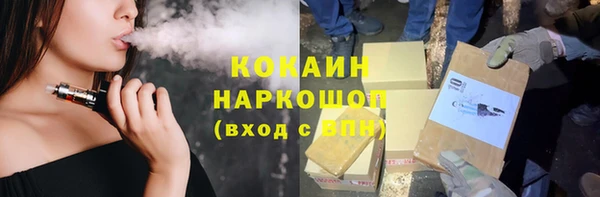 твердый Шадринск