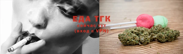твердый Шадринск