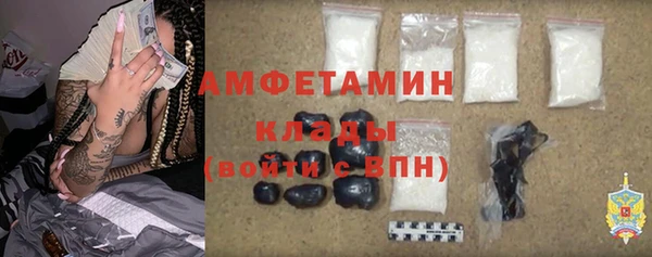 твердый Шадринск