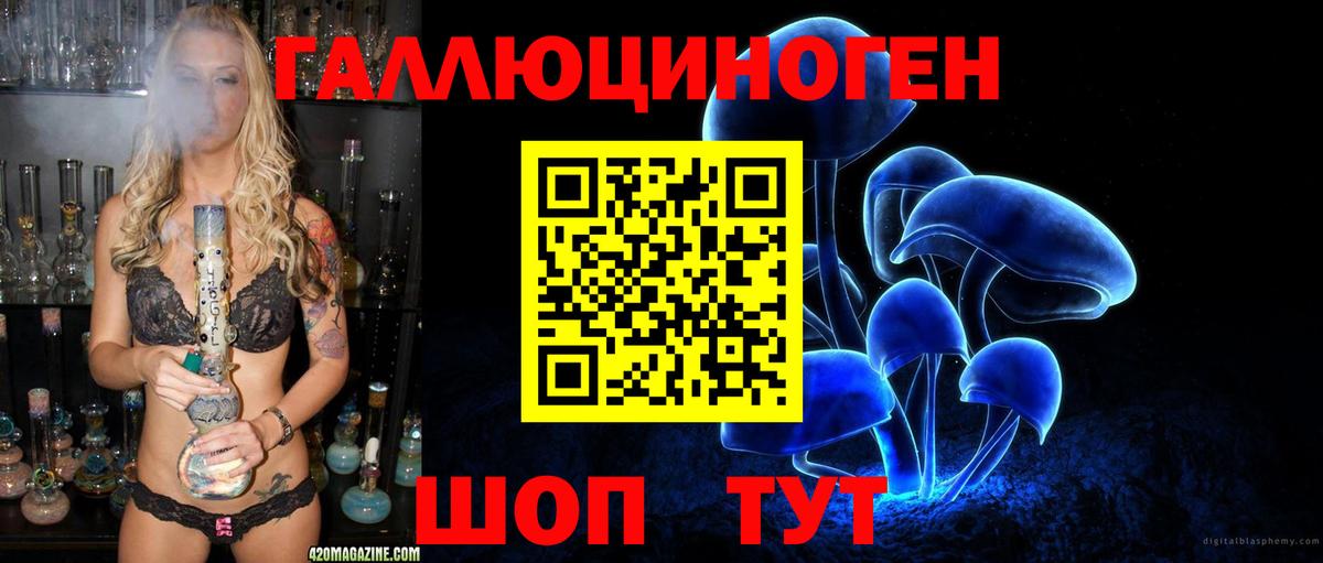 Псилоцибиновые грибы MAGIC MUSHROOMS  Вход с VPN  Назрань 